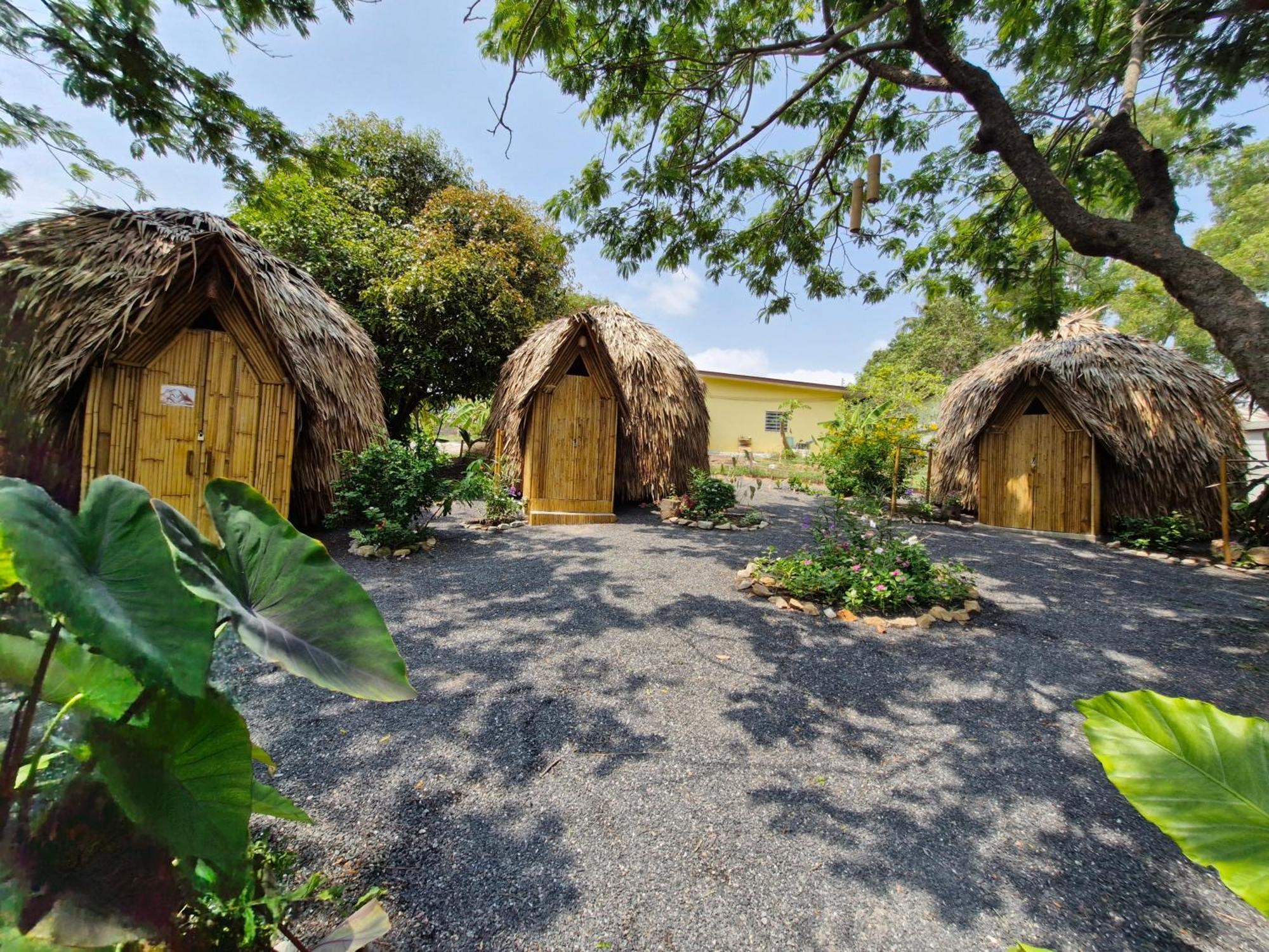 Samui Circus Studio & Ville - Dome Bungalow 3 Amphoe Koksamui Exterior photo